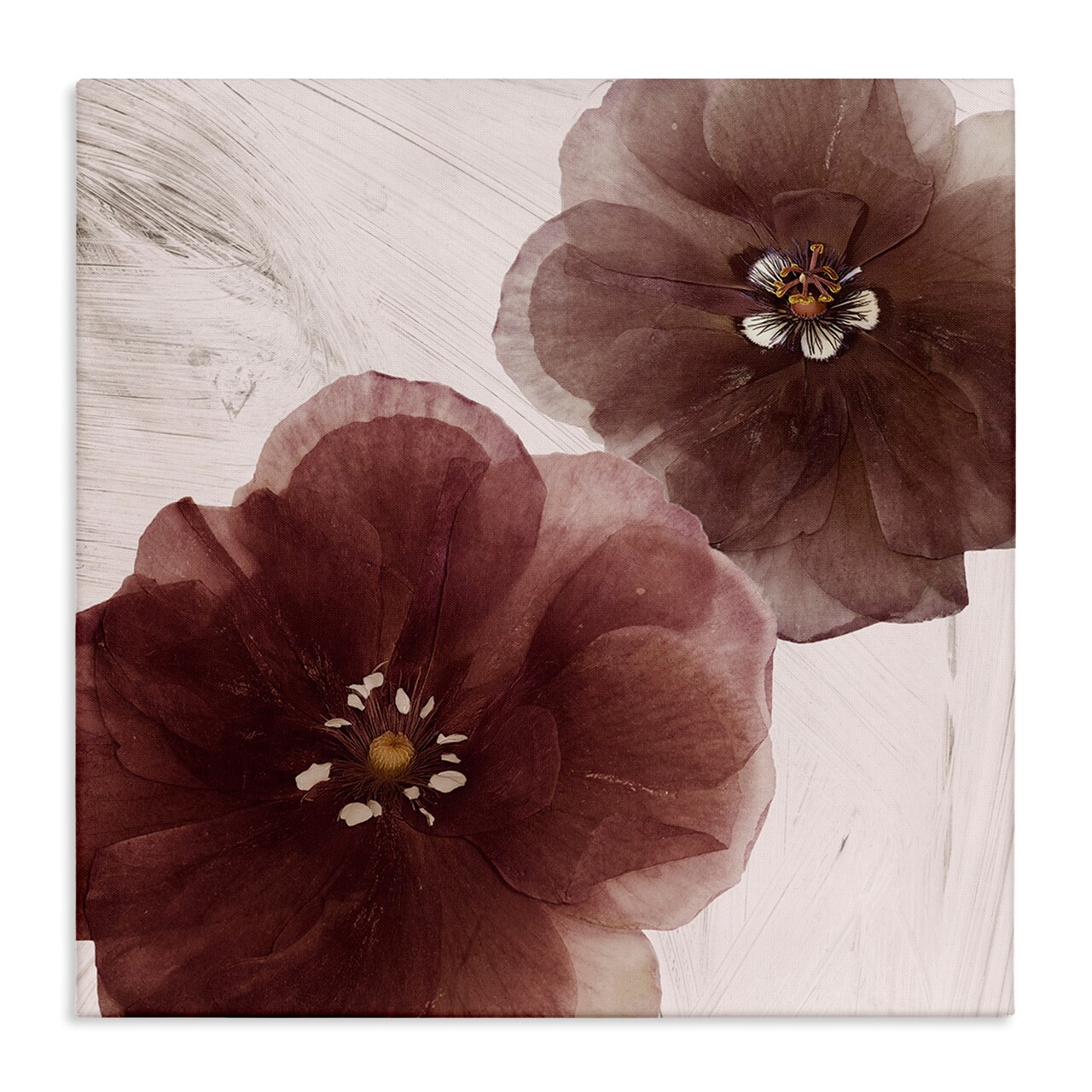 Stupell Industries Cocoa Butter Flower Pair Canvas By Annabelle Hall